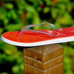Velvet Flip Flops with Clear Straps