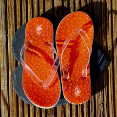 Velvet Flip Flops with Clear Straps